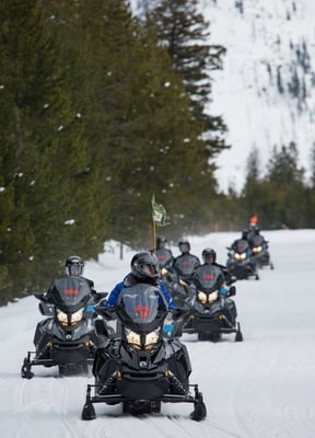 Guided snowmobile tour on the West Entrance Road in Yellowstone in winter
