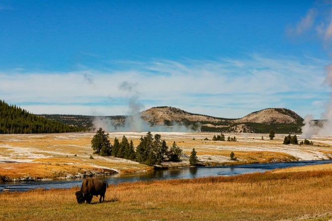 Recommended Yellowstone Guides