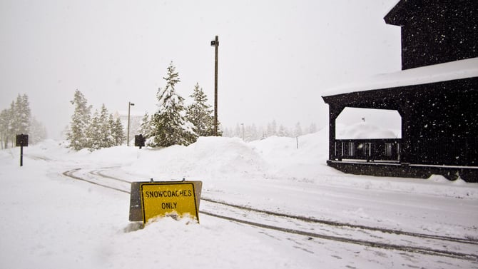 Yellowstone Winter Tours