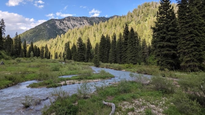 Caribou-Targhee National Forest