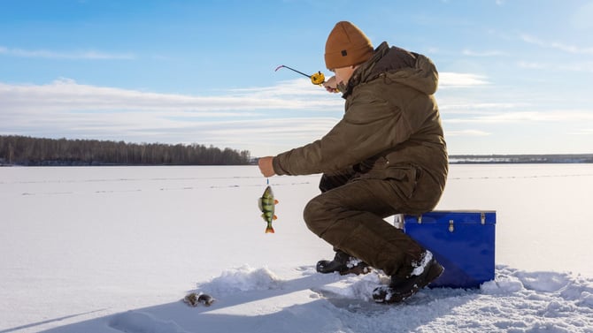 Things to Do in West Yellowstone in the Winter