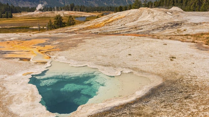 Celestine Pool